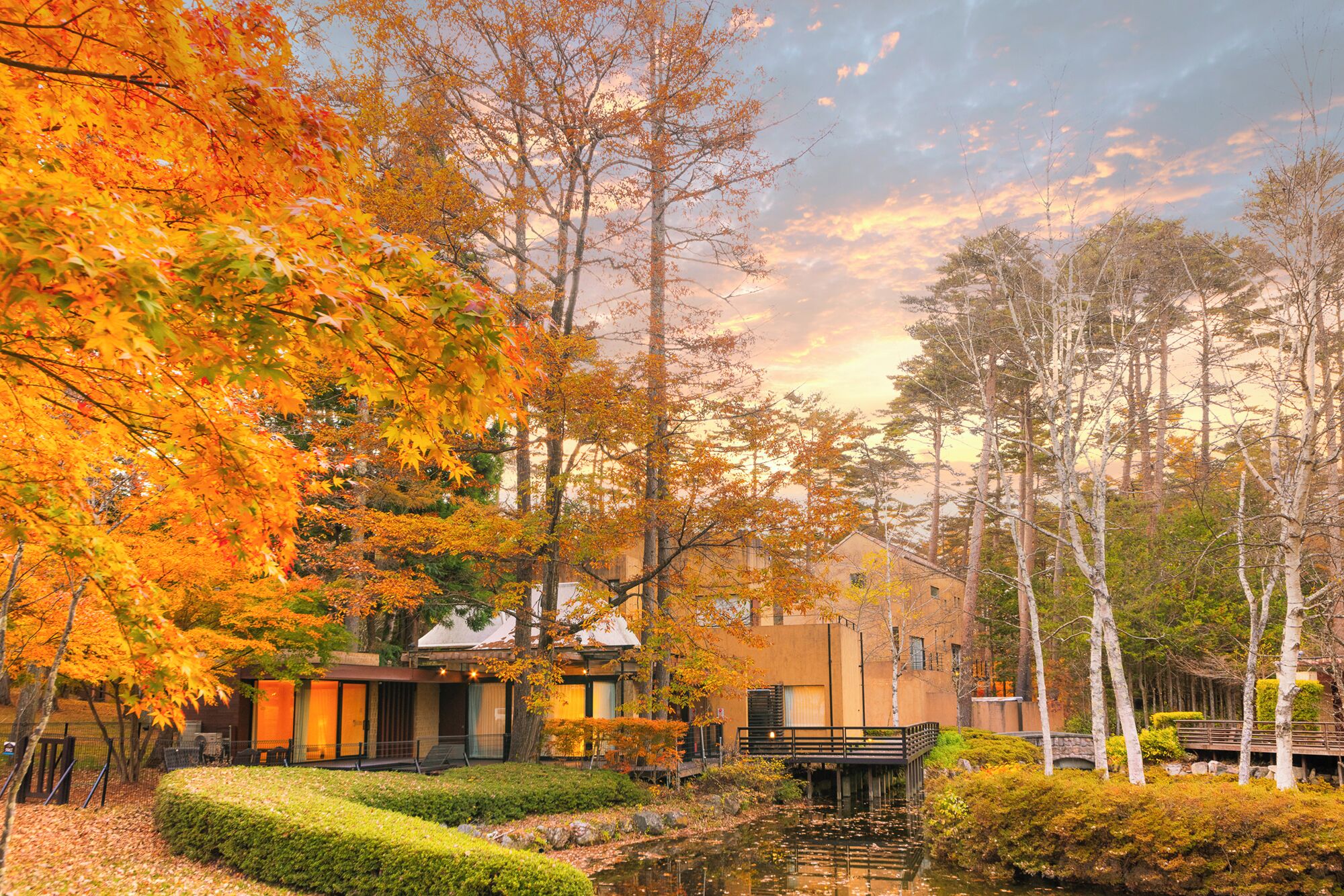 フォレストヴィレッジ 客室