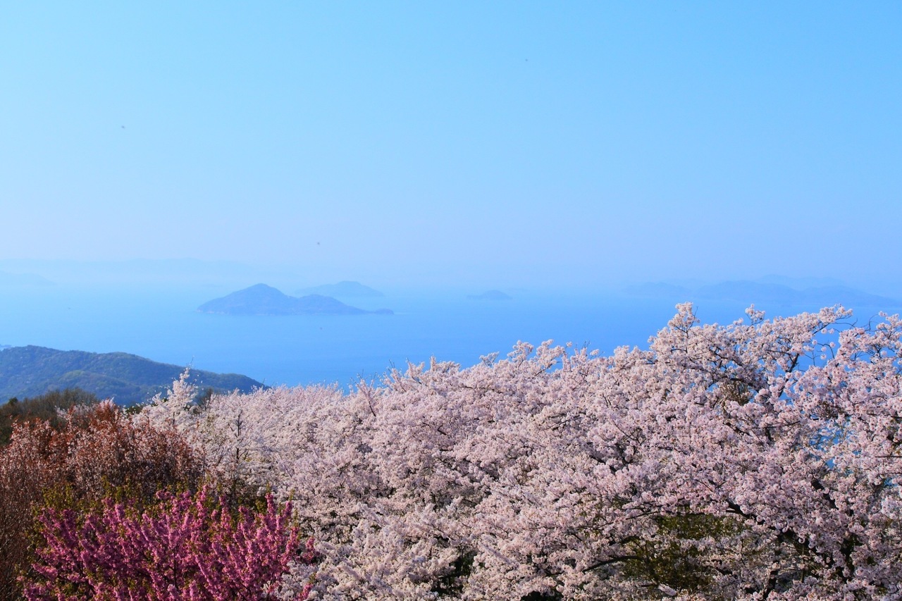 紫雲出山(香川)