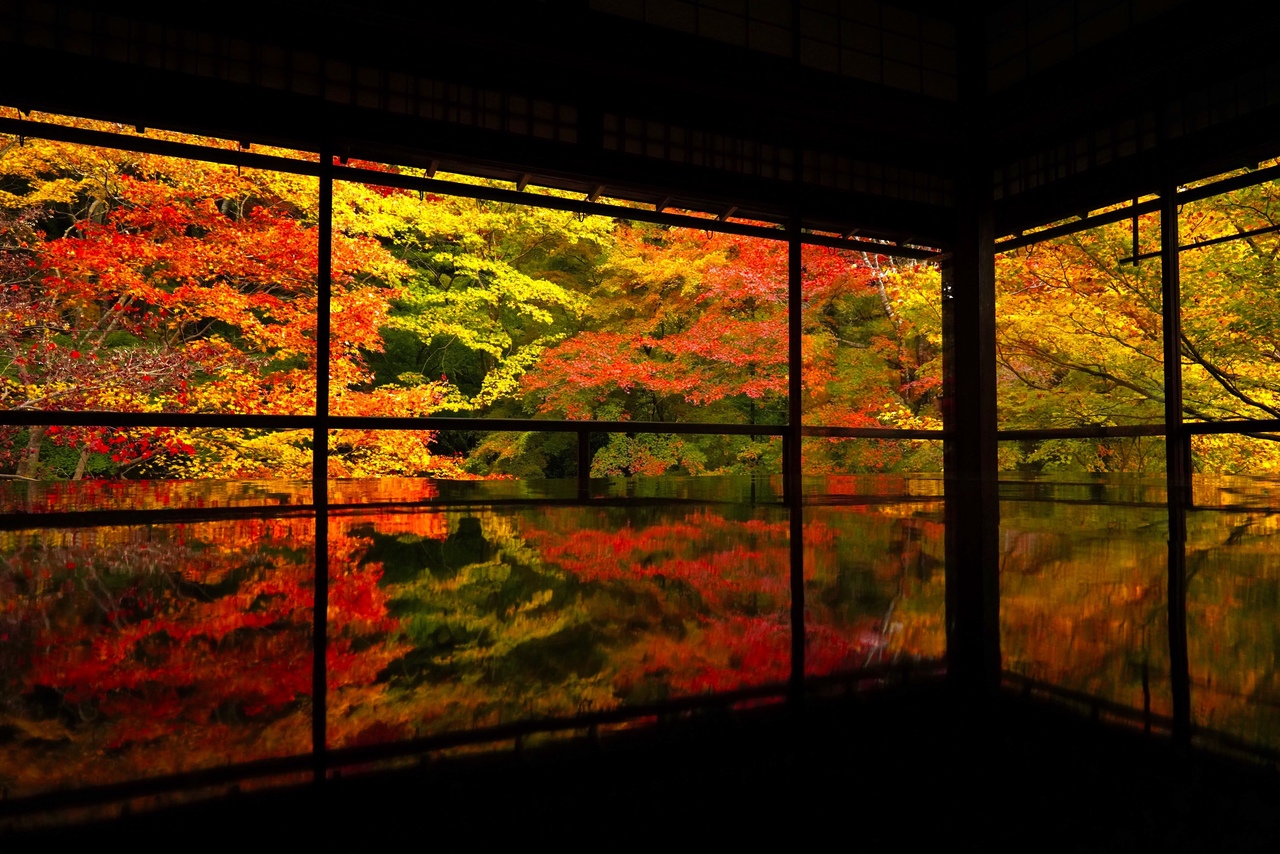 瑠璃光院・京都